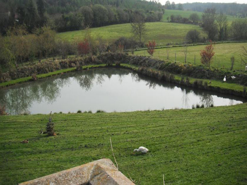 Dawn House B&B Kilmeaden Esterno foto