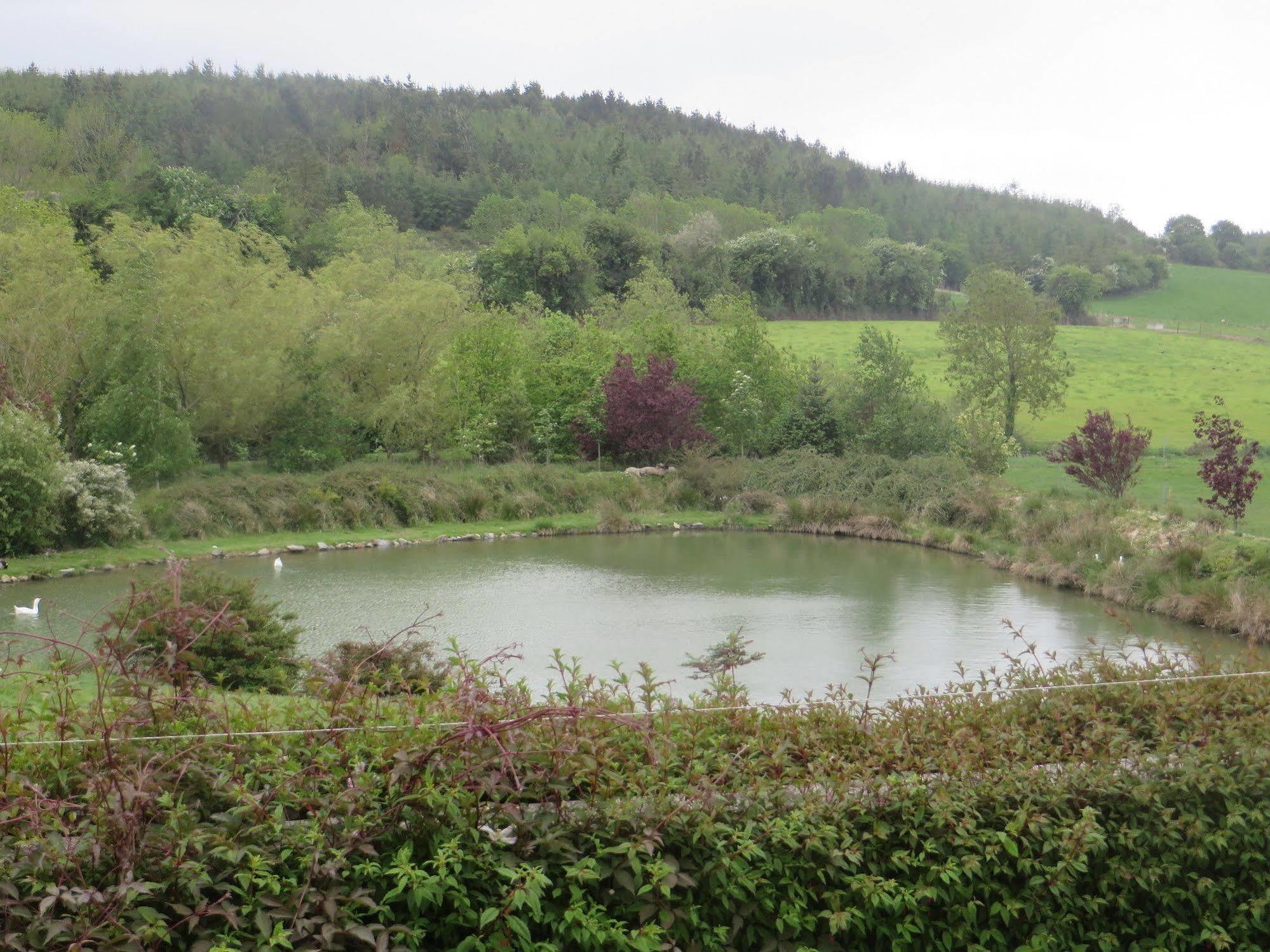 Dawn House B&B Kilmeaden Esterno foto